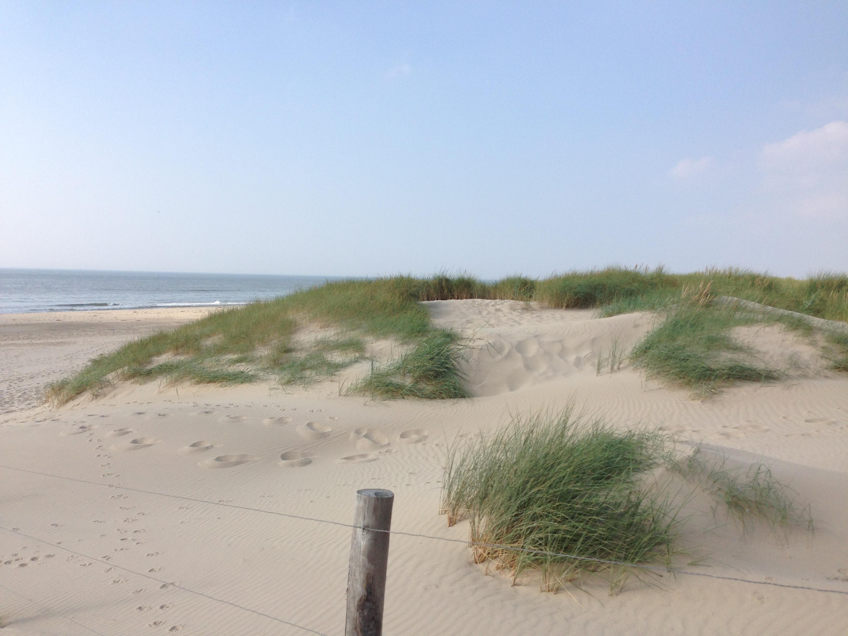 IMG_0297.jpg IMG_0297.jpg