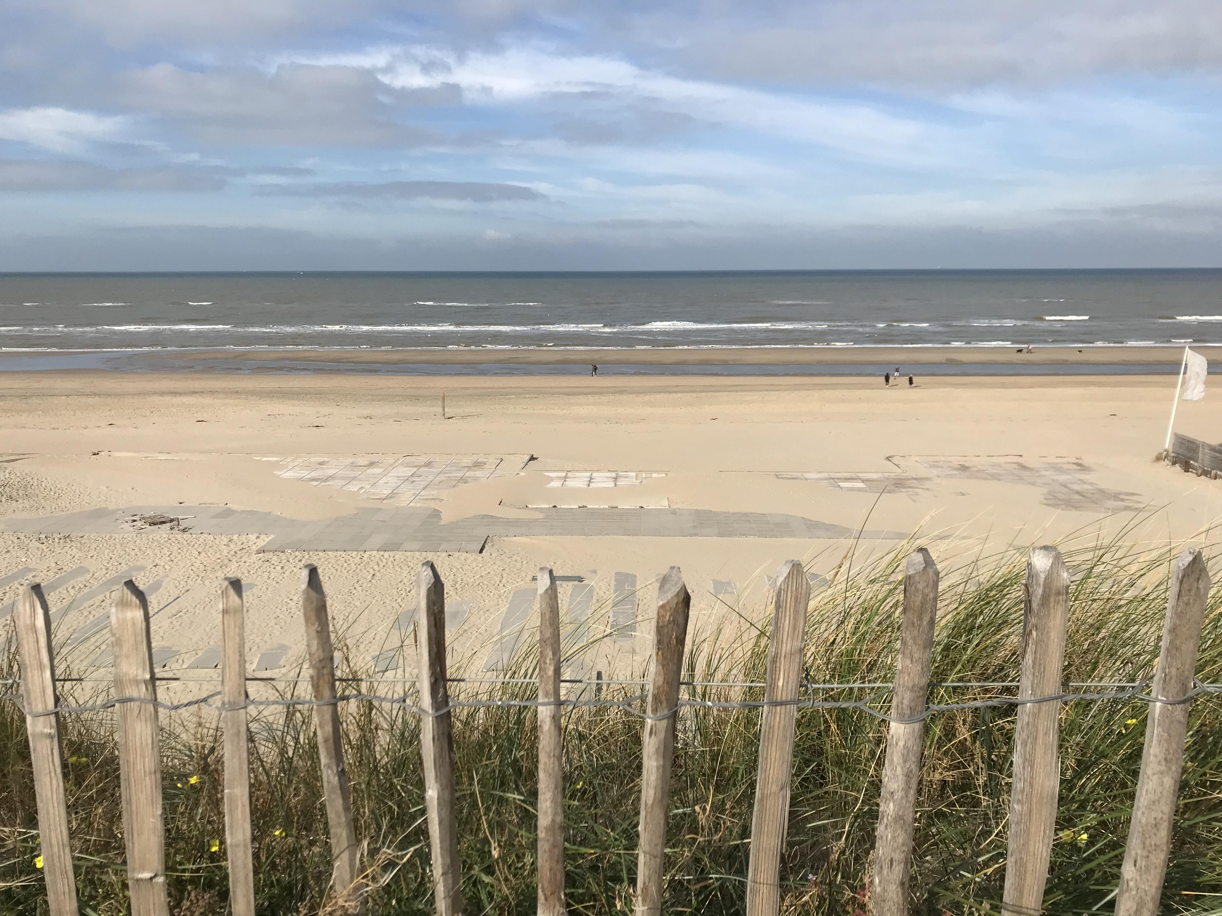 IMG_7643_1.jpeg IMG_7643_1.jpeg